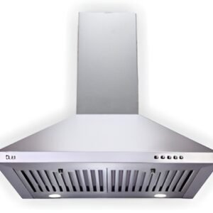 BEETA NEO 60